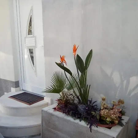 Apartment Ivanka Podstrana